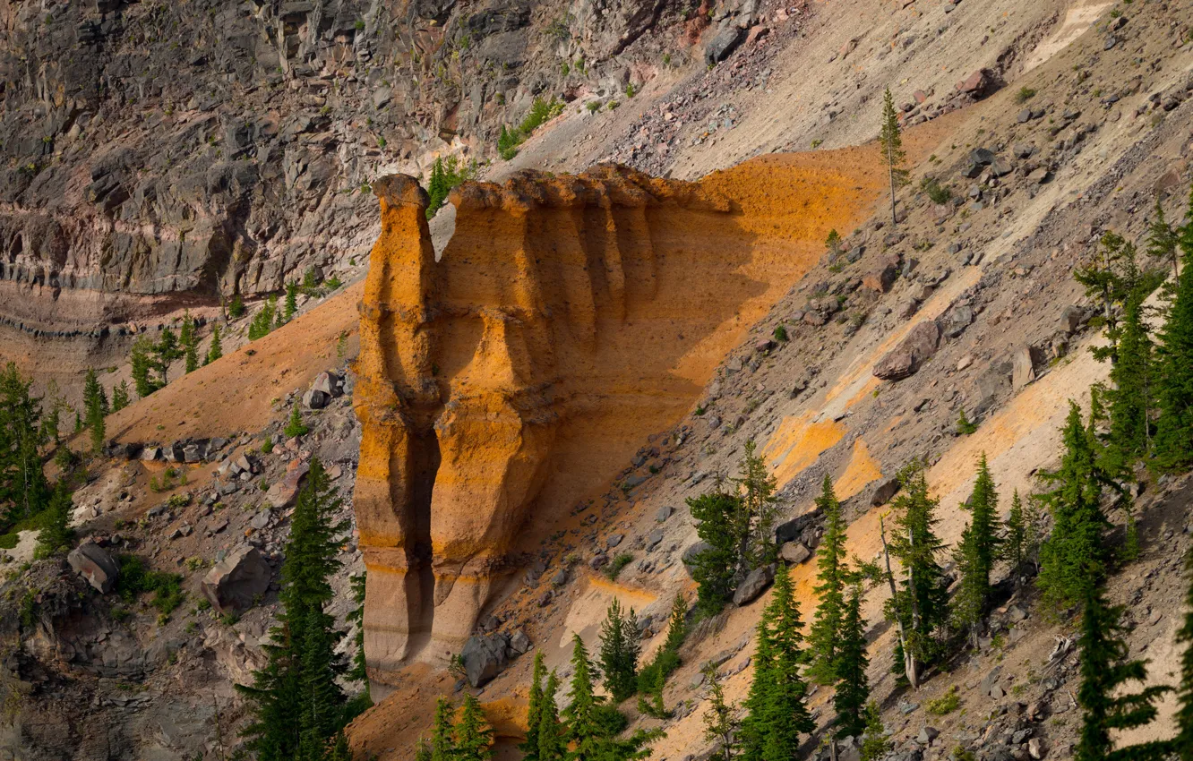 Photo wallpaper trees, landscape, mountains, rocks, slope