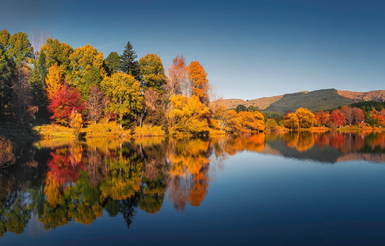 Photo wallpaper autumn, forest, trees, lake, reflection, New Zealand, New Zealand, Lake Tutira