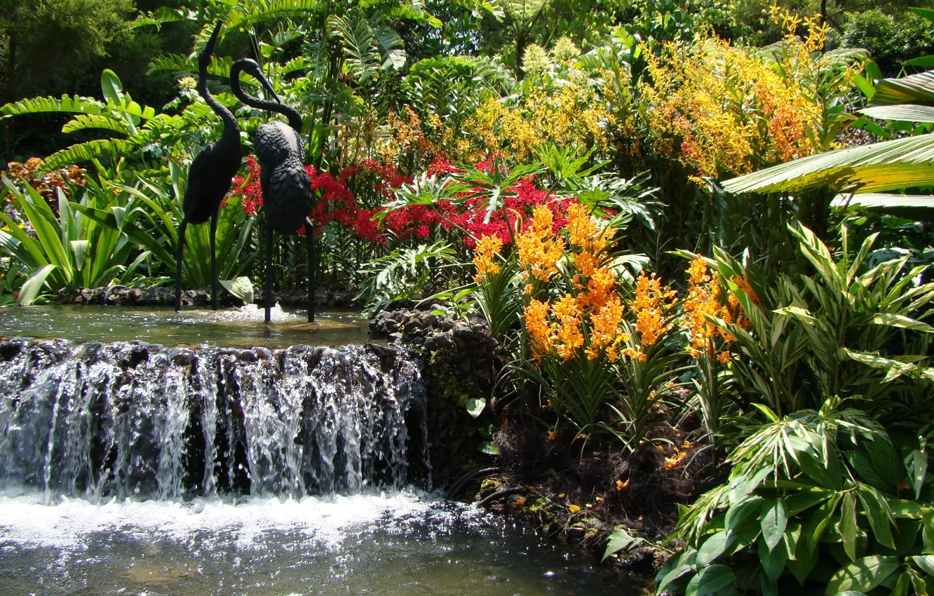 Photo wallpaper flowers, pond, waterfall, Garden