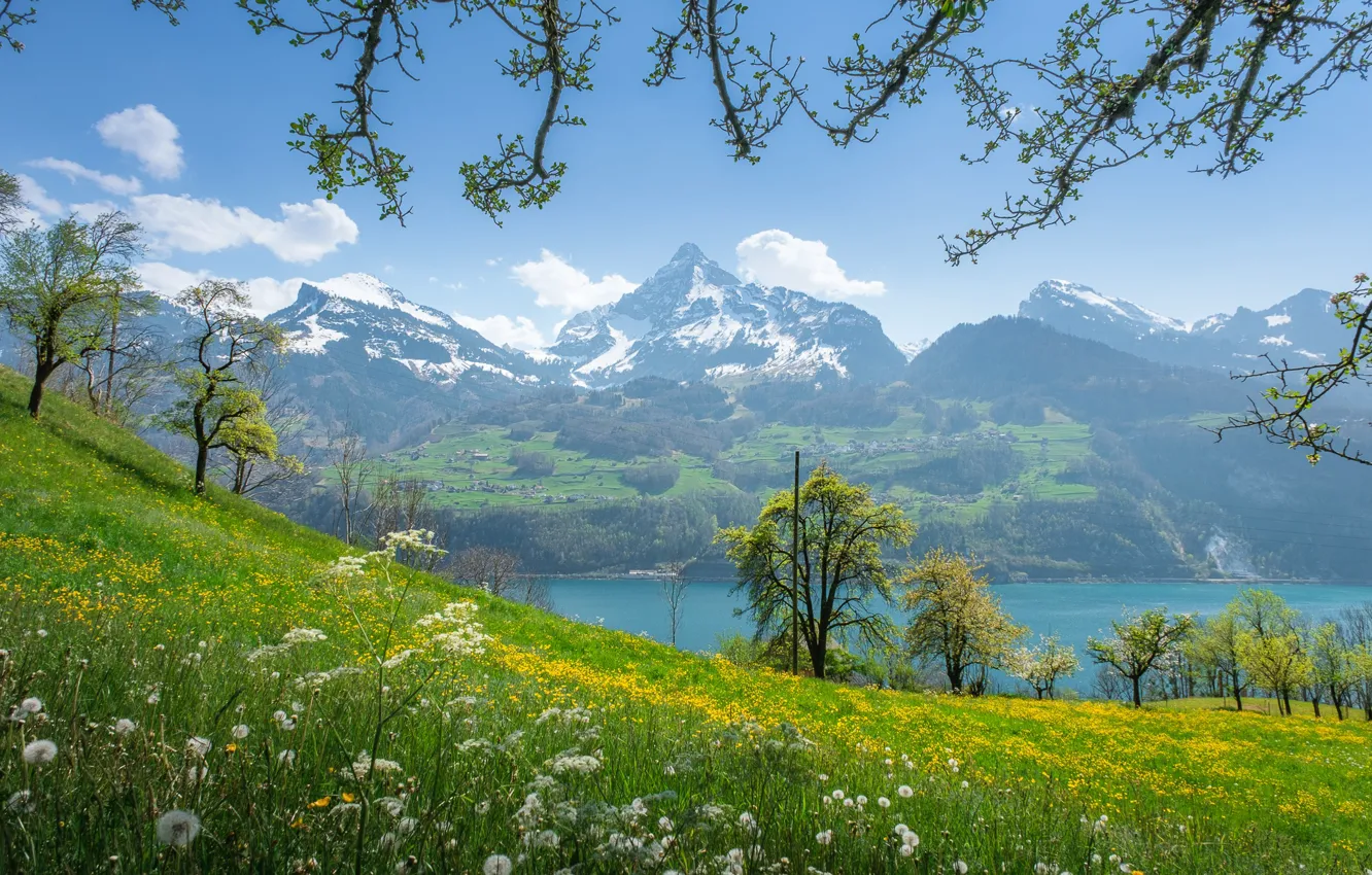 Photo wallpaper landscape, mountains, nature, lake, spring, Switzerland, slope, flowering