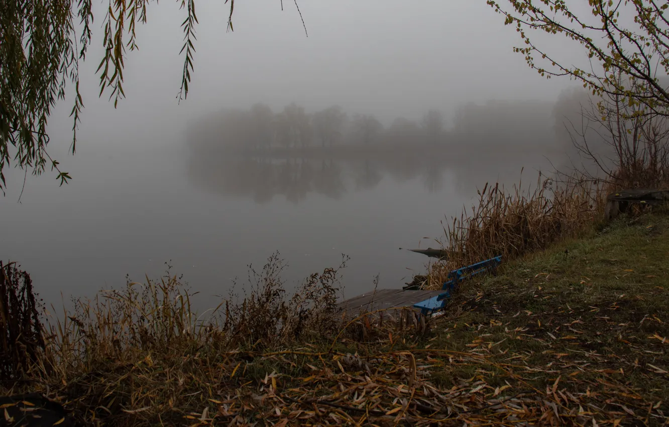 Photo wallpaper autumn, fog, river