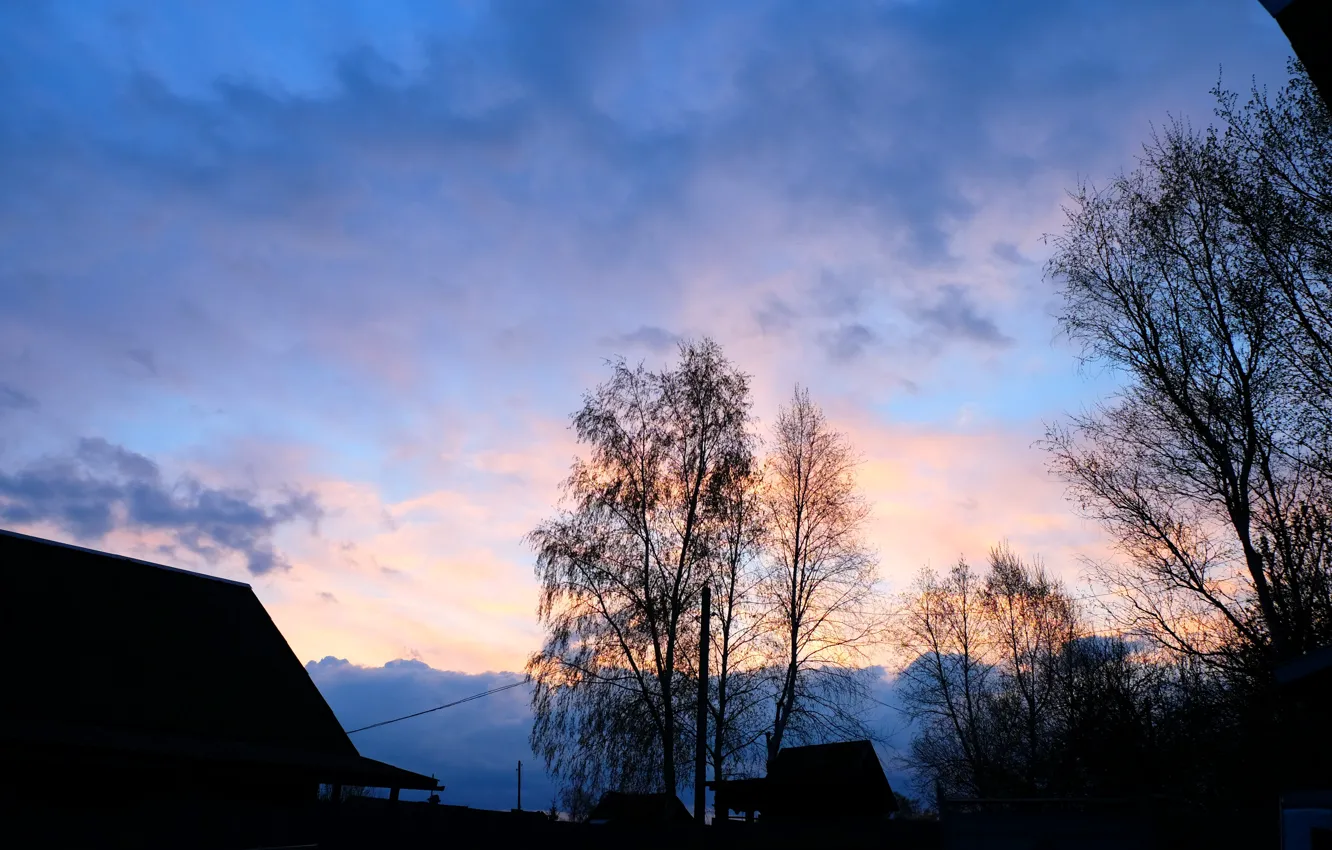 Photo wallpaper trees, sunset, nature, beauty, spring, pink sunset, Russian nature