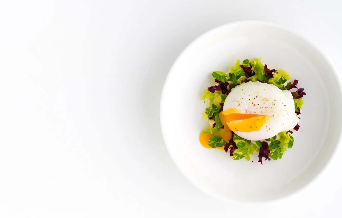 Photo wallpaper egg, herbs, garden of herbs