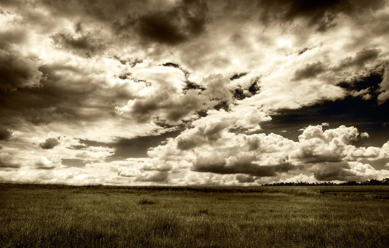 Photo wallpaper field, the sky, grass