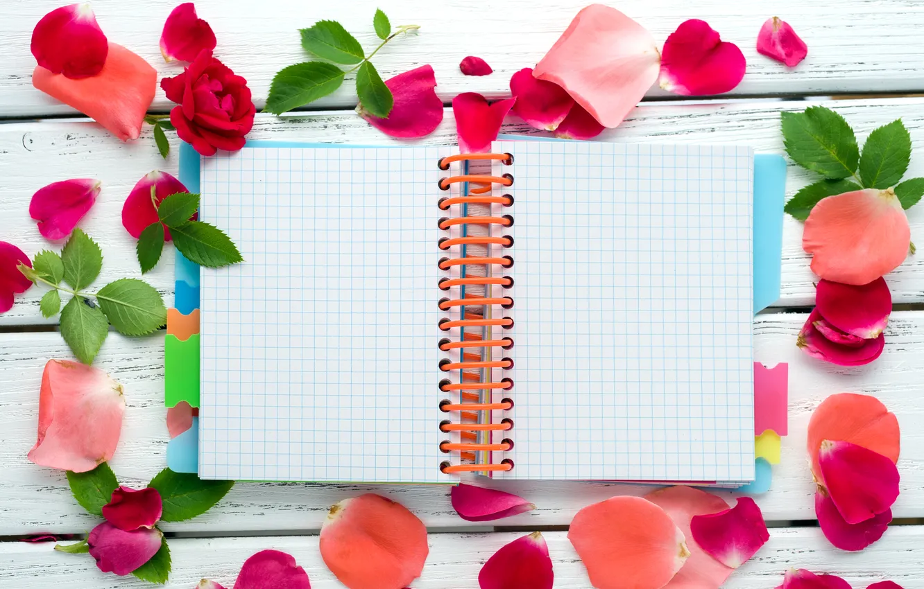 Photo wallpaper leaves, roses, petals, notebook