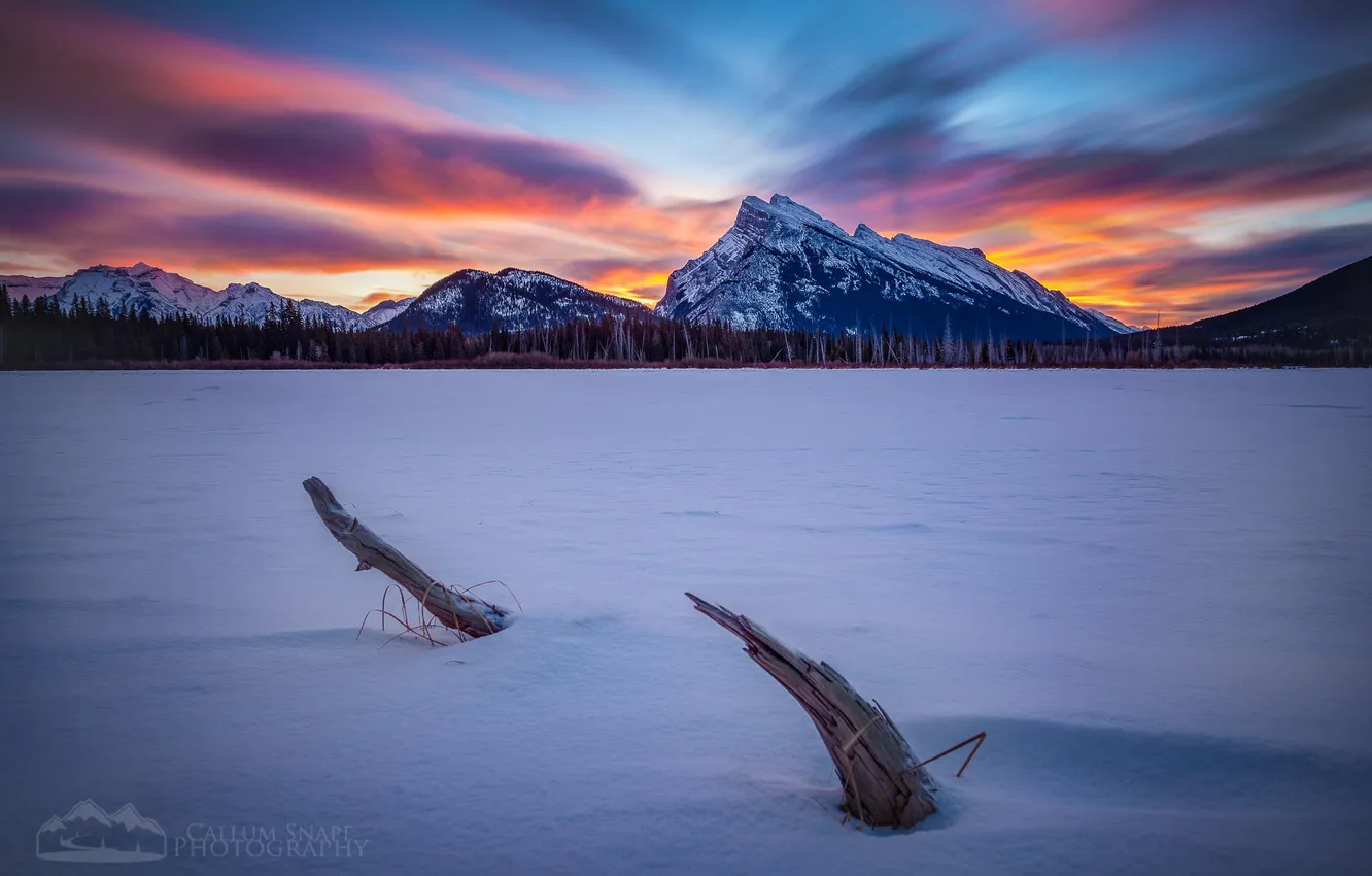 Photo wallpaper winter, forest, snow, sunset, mountains, lake