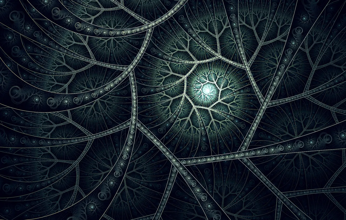 Photo wallpaper curls, fractal, sector, by fractaldesire, FractalDesire, the green line