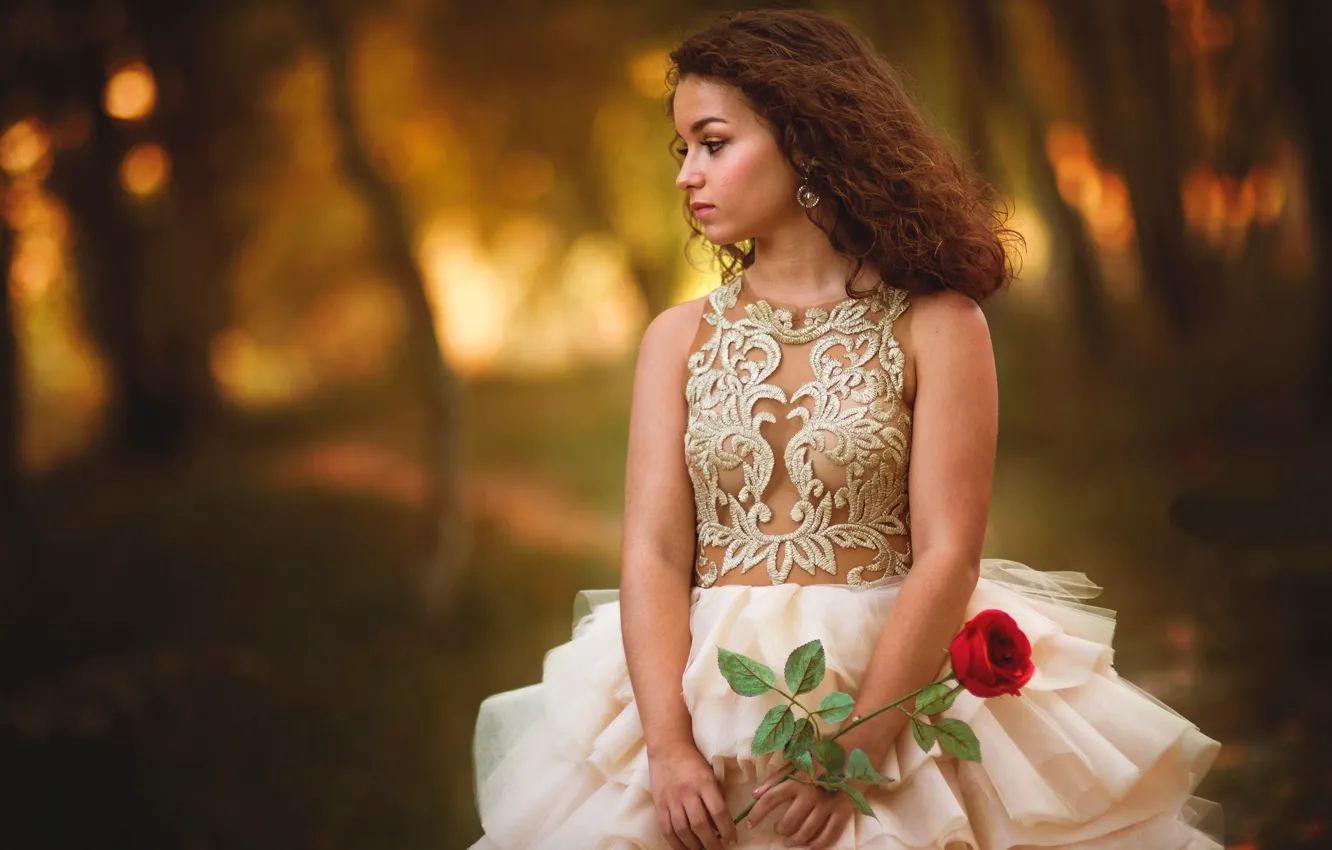 Photo wallpaper girl, flowers, mood, roses, dress, bokeh