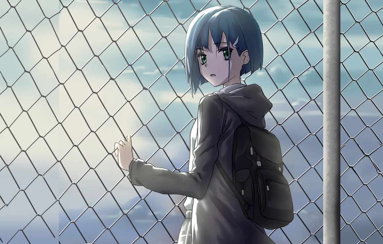 Photo wallpaper girl, mesh, anime, Darling In The Frankxx