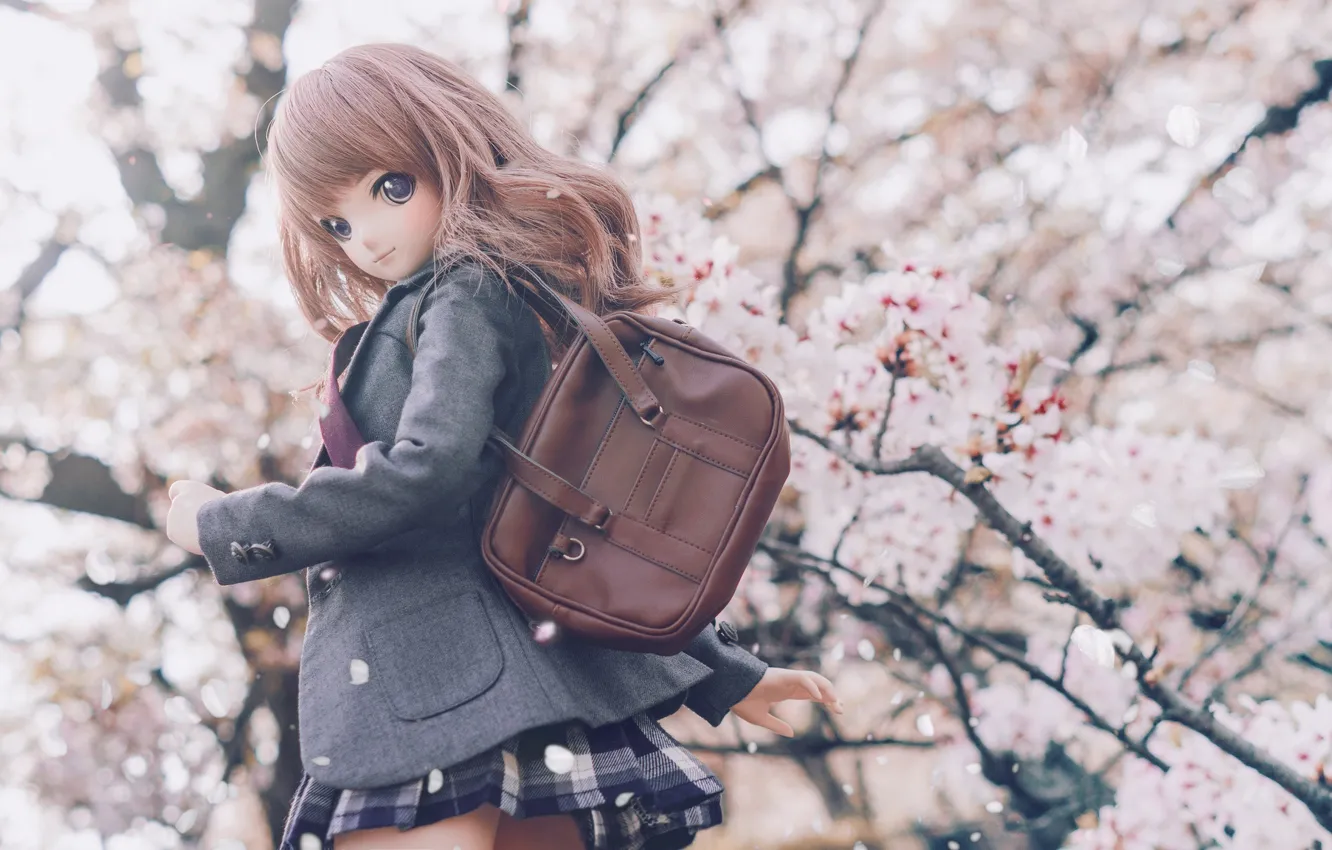 Photo wallpaper look, trees, doll, Sakura, bag