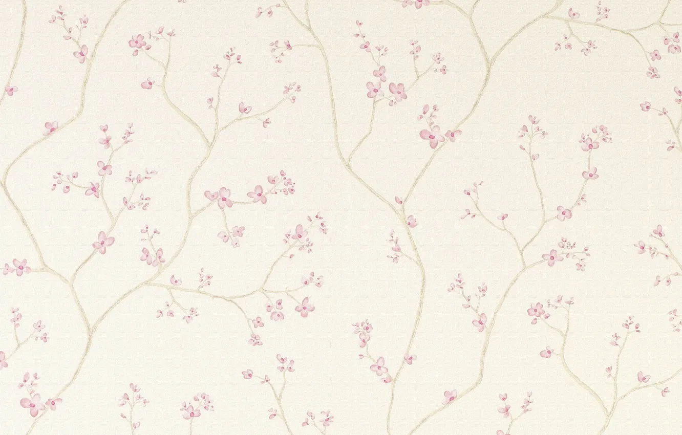 Photo wallpaper flowers, pattern, pattern, floral, seamless, seamless