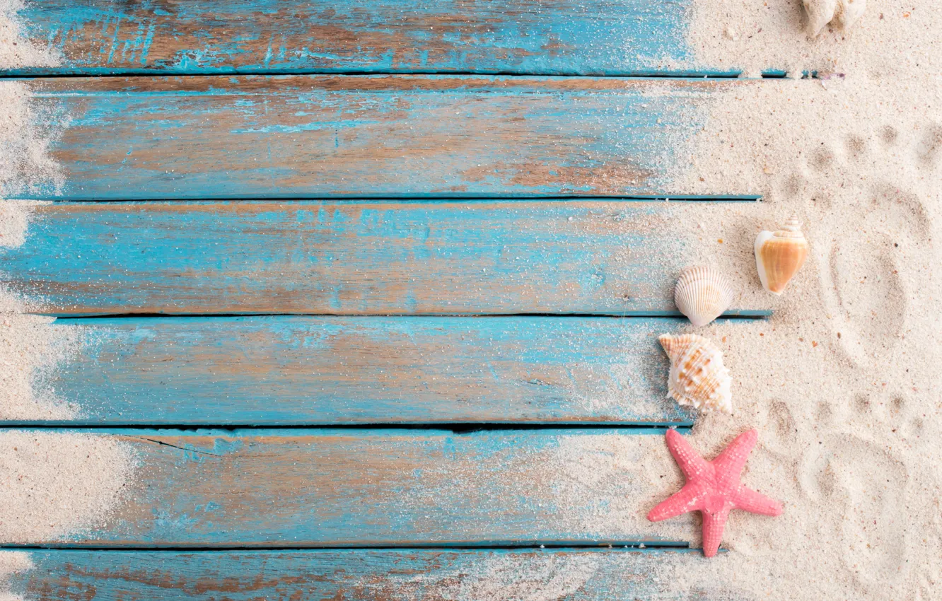 Photo wallpaper sand, beach, star, shell, summer, beach, wood, sand