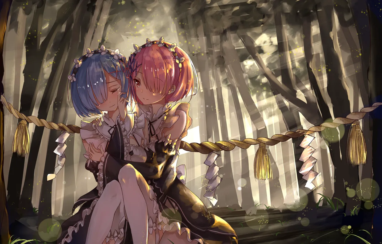 Photo wallpaper forest, light, rope, tears, hugs, art, sisters, Ram
