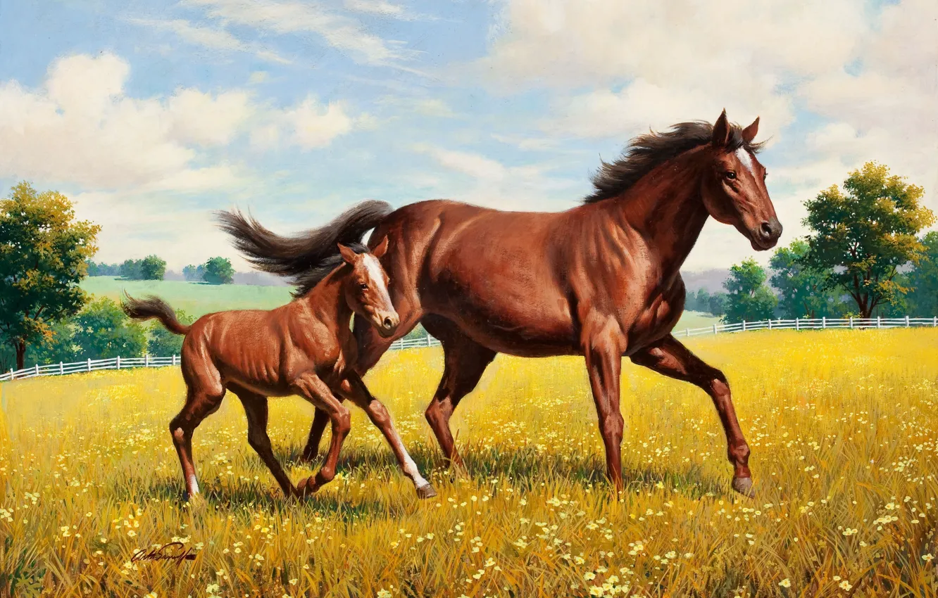 Photo wallpaper horse, meadow, painting, Arthur Saron Sarnoff, foal