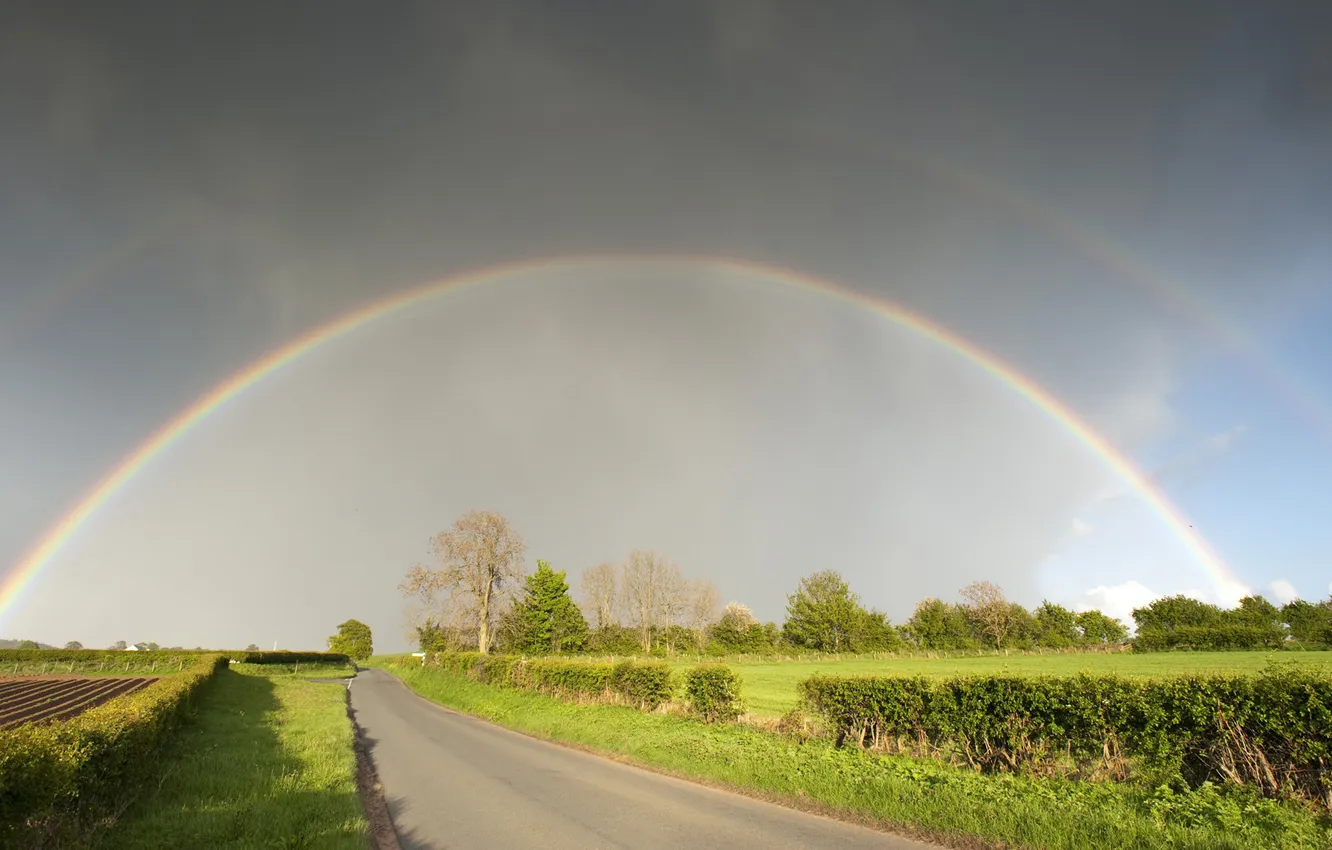 Photo wallpaper road, grass, trees, rainbow