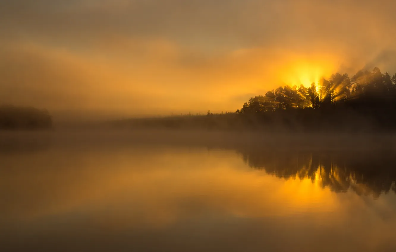 Photo wallpaper forest, the sun, fog, lake, glow