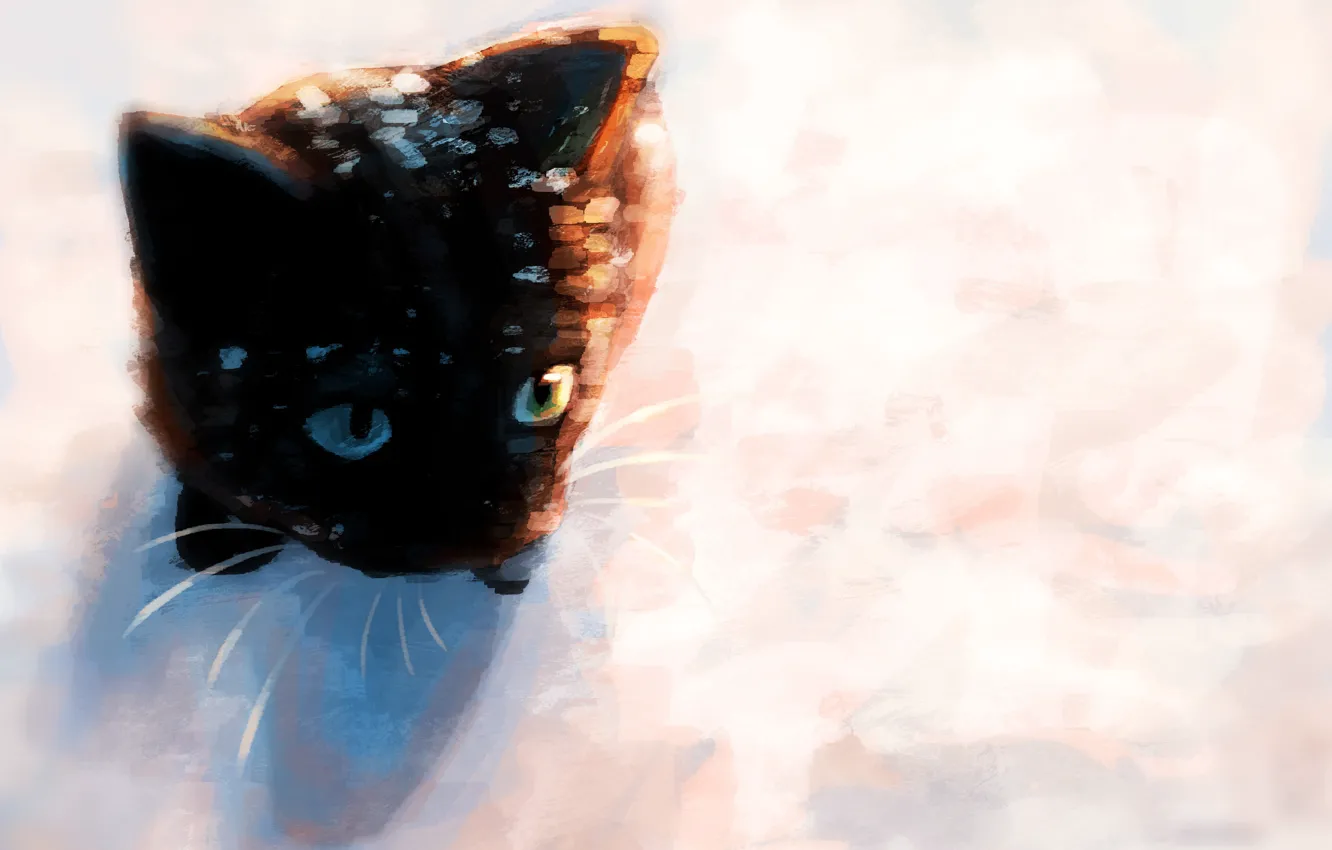 Photo wallpaper snow, kitty, by Meorow