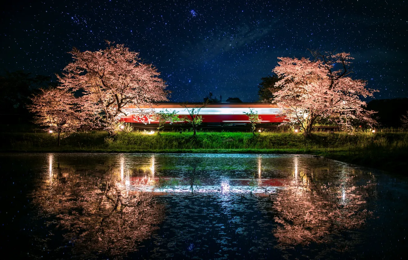 Photo wallpaper stars, trees, night, lake, reflection, Sakura, flowering