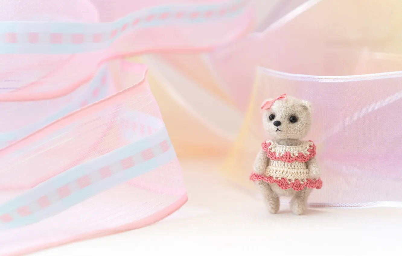 Photo wallpaper toy, bear, tape