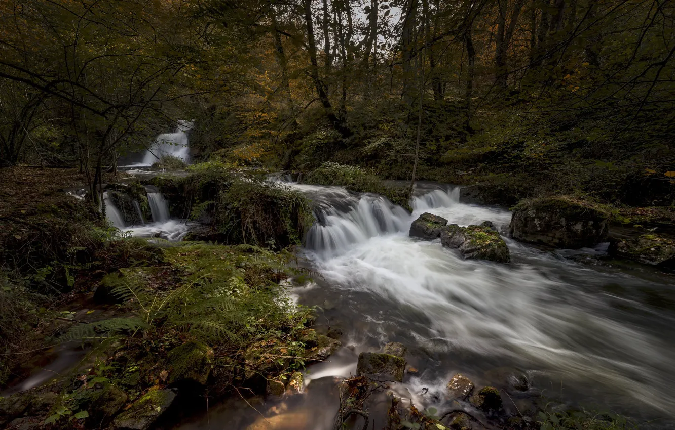 Photo wallpaper forest, river, waterfall, Spain, cascade, Spain, Cantabria, Cantabria