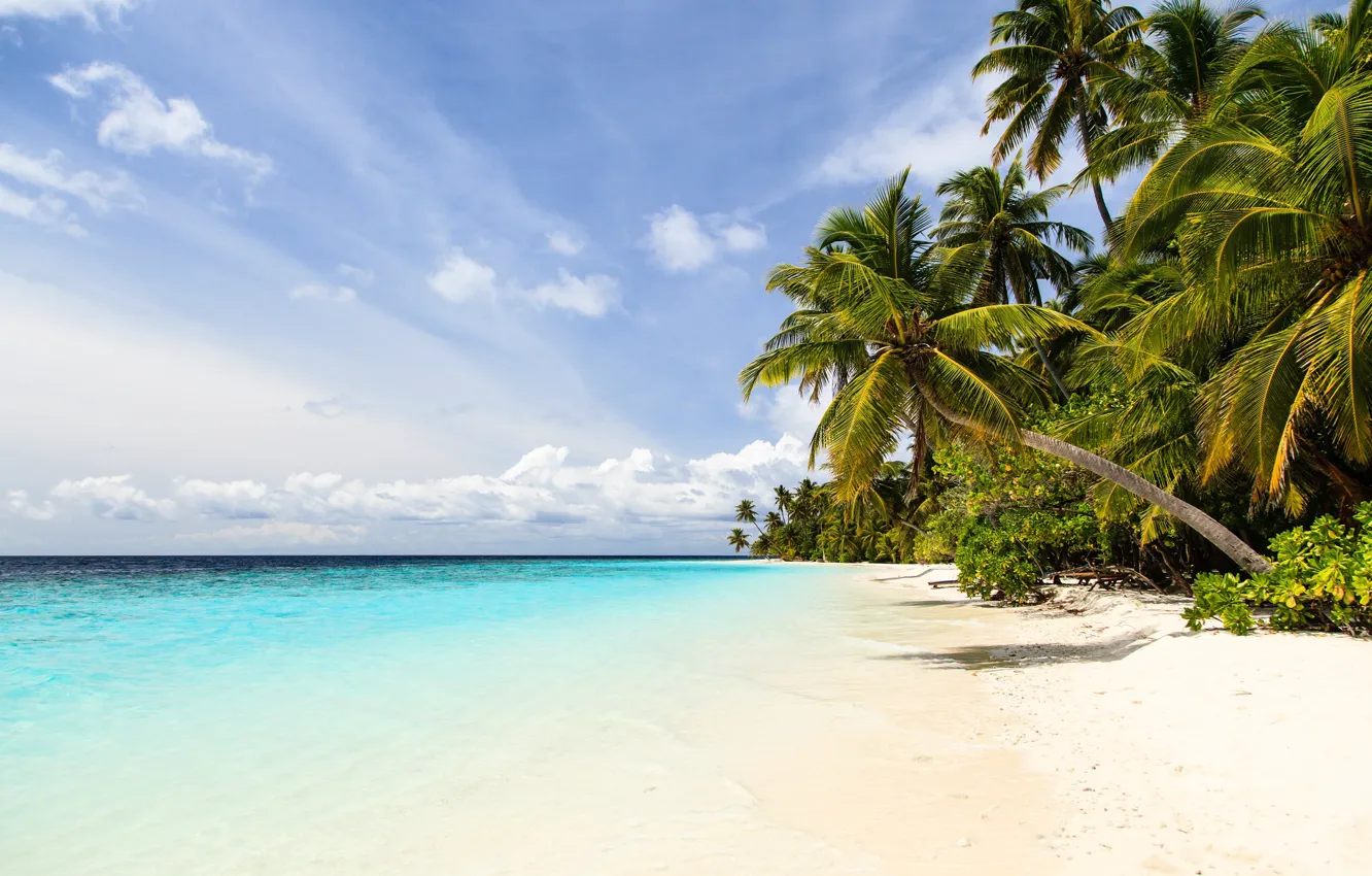 Photo wallpaper sea, beach, nature, tropics, palm trees, shore, blue sky