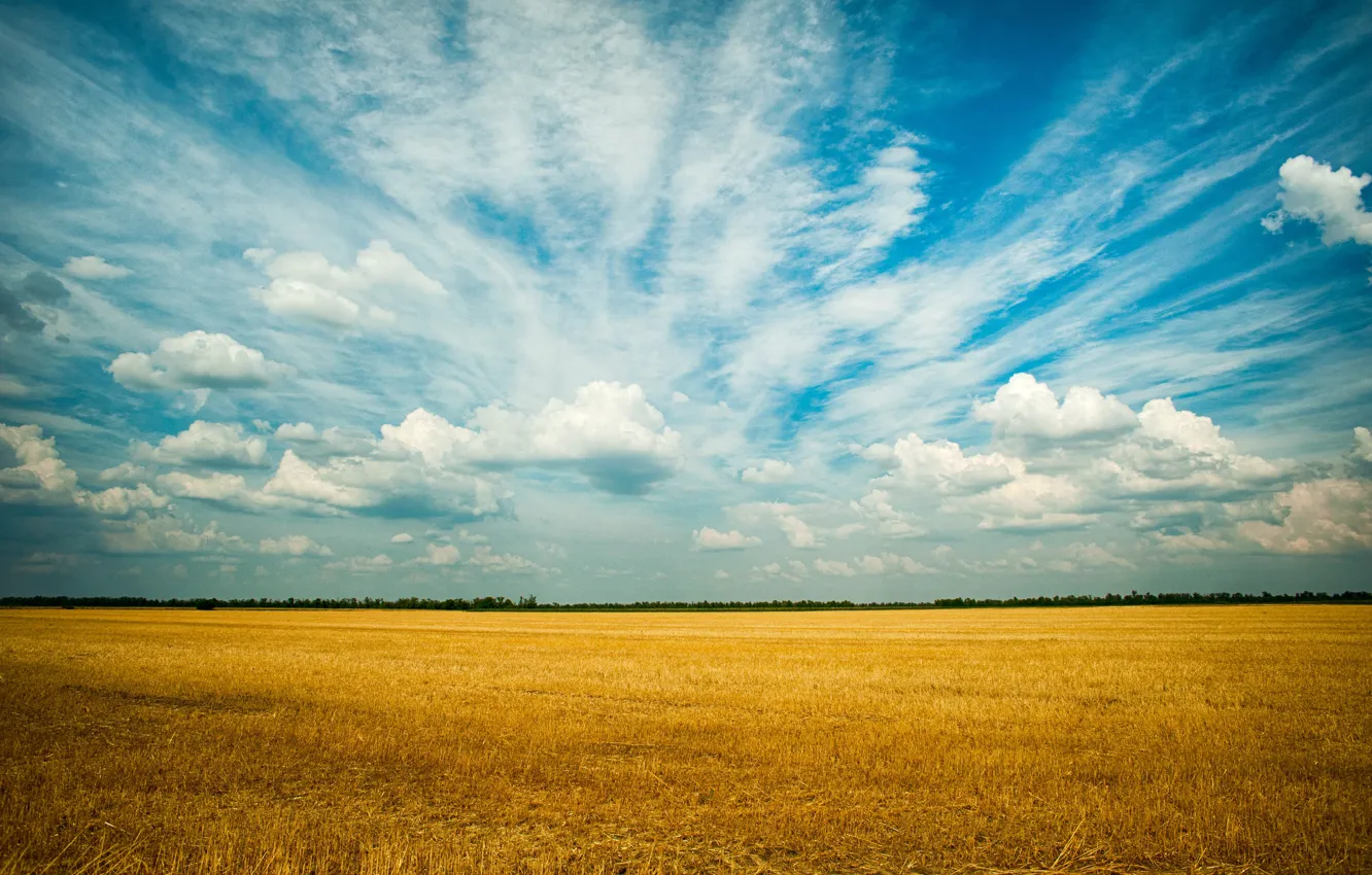 Photo wallpaper field, the sky, clouds, beauty, space, space, sky, field