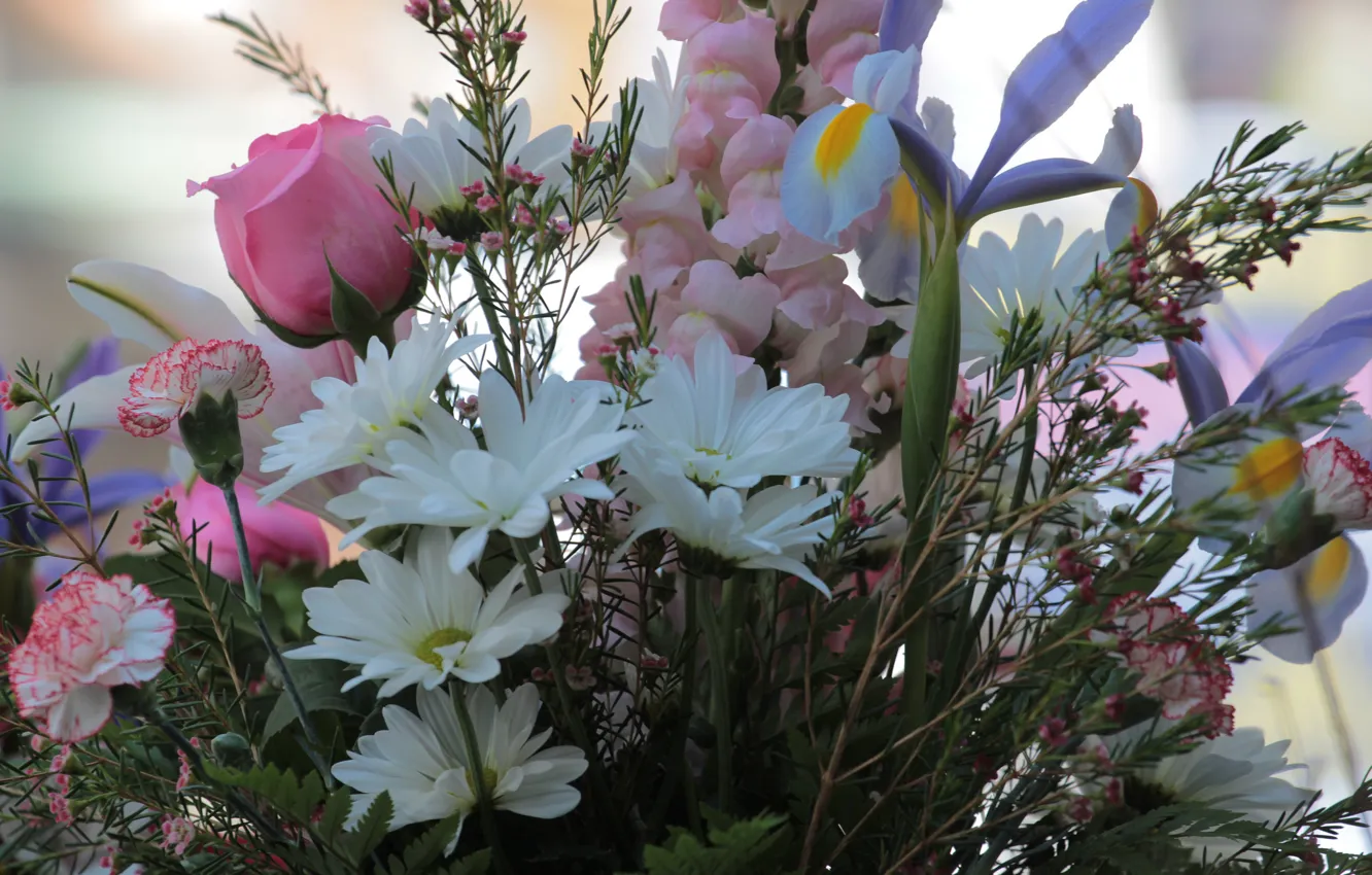 Photo wallpaper roses, bouquet, petals, clove