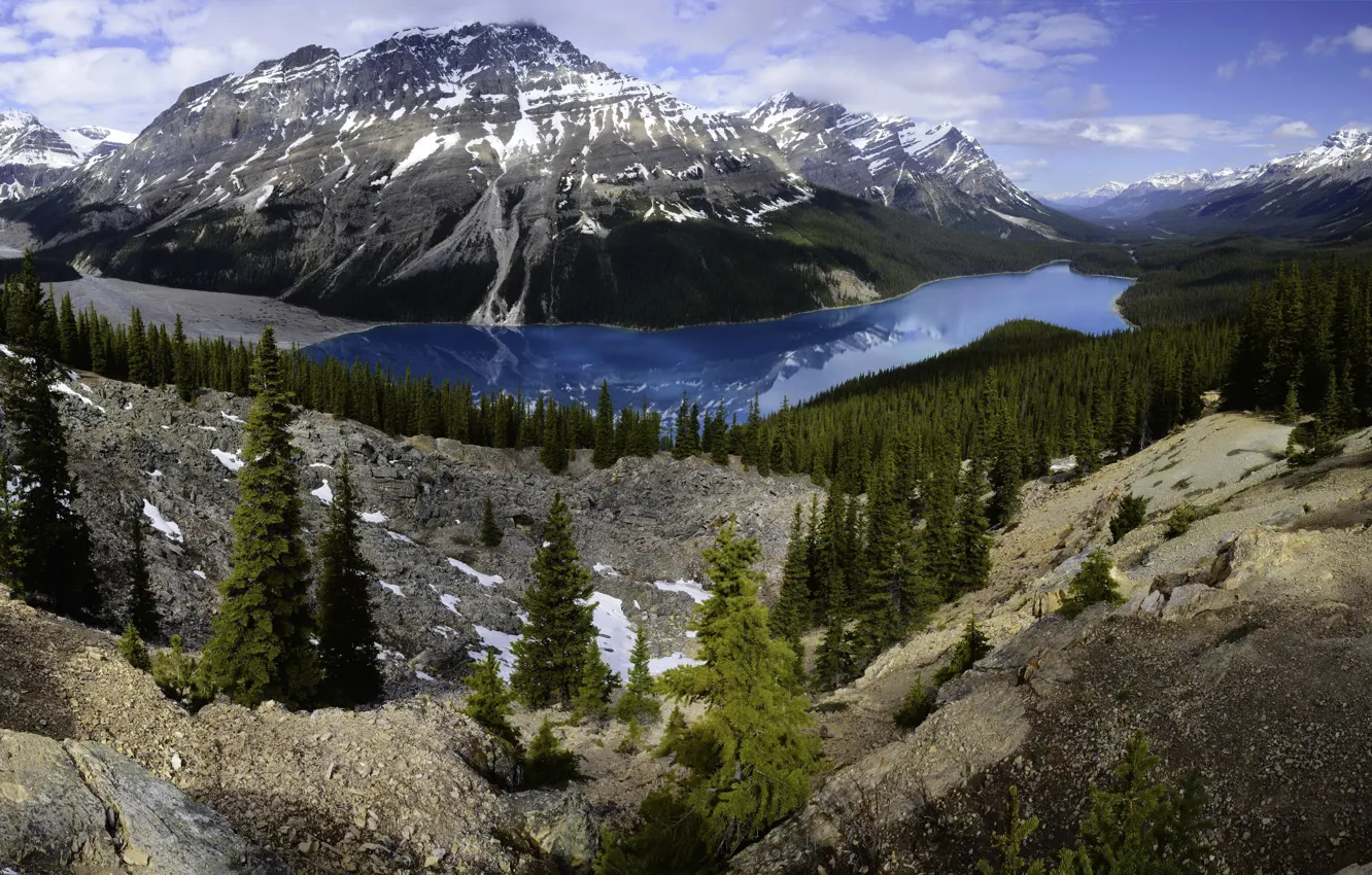 Photo wallpaper forest, trees, mountains, lake, stones, rocks, Canada, panorama