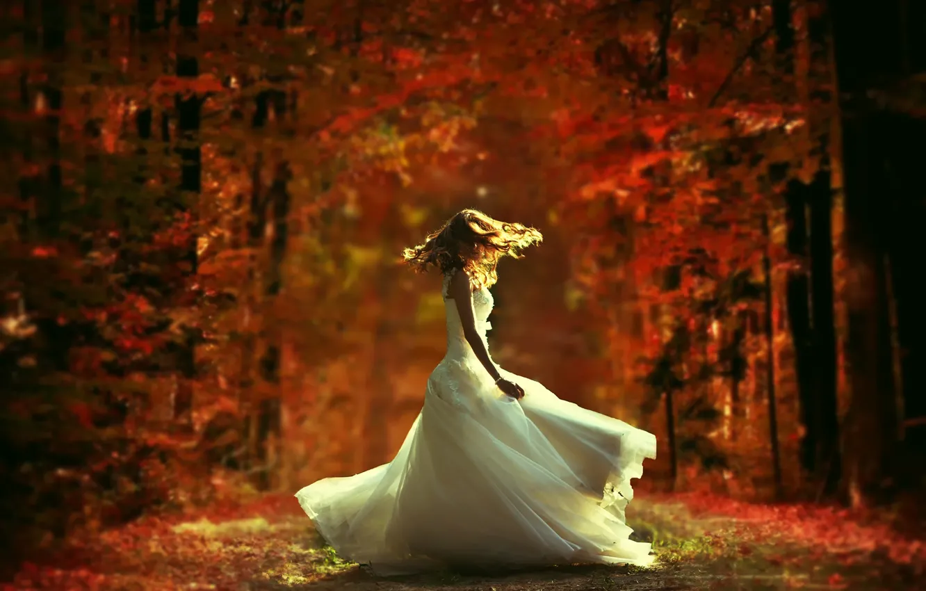 Photo wallpaper dance, dress, the bride