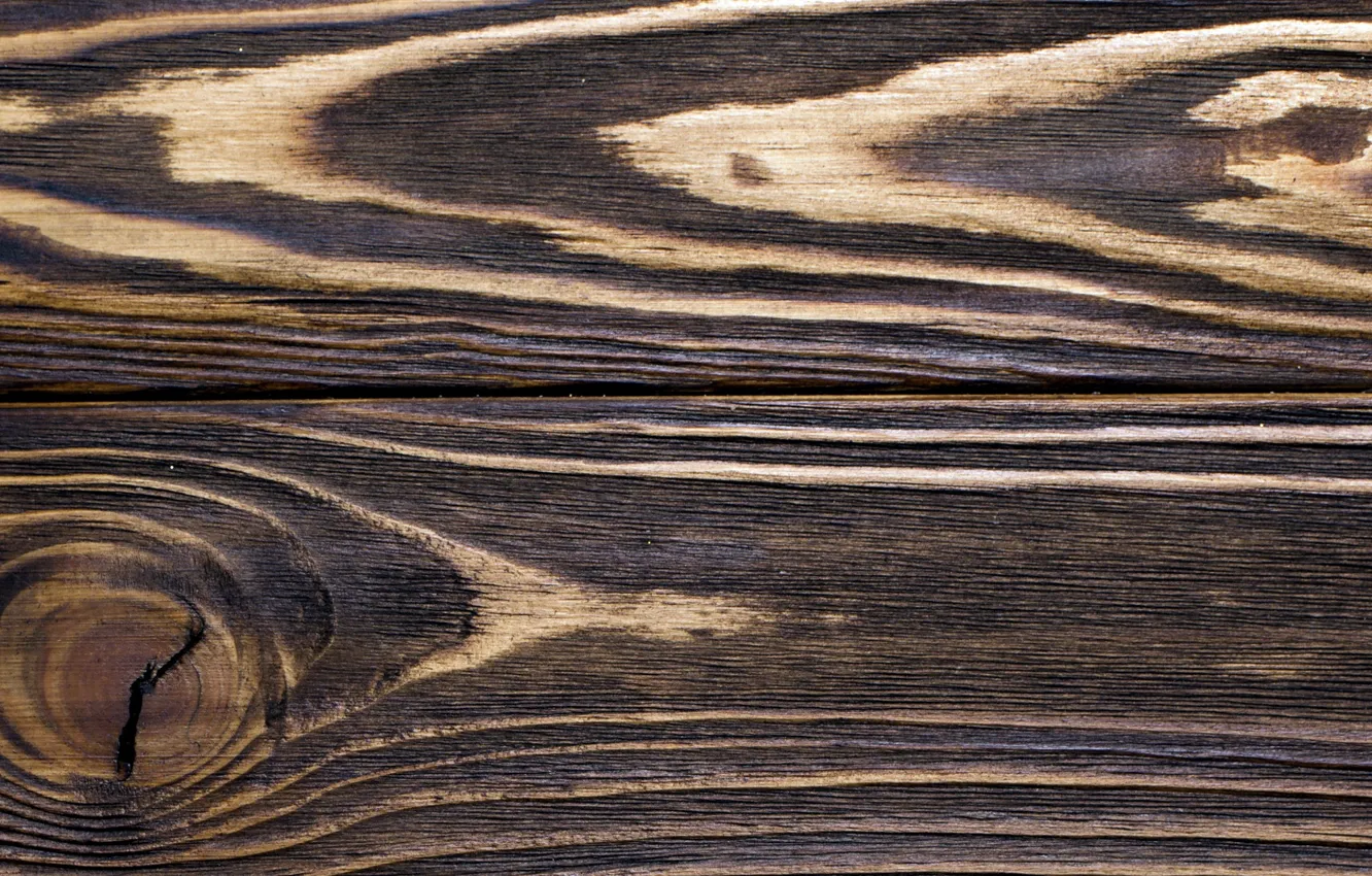 Photo wallpaper trees, Board, structure