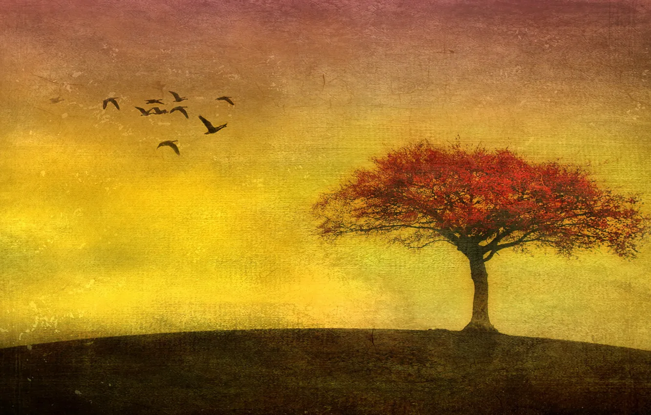 Photo wallpaper trees, nature, style, bird