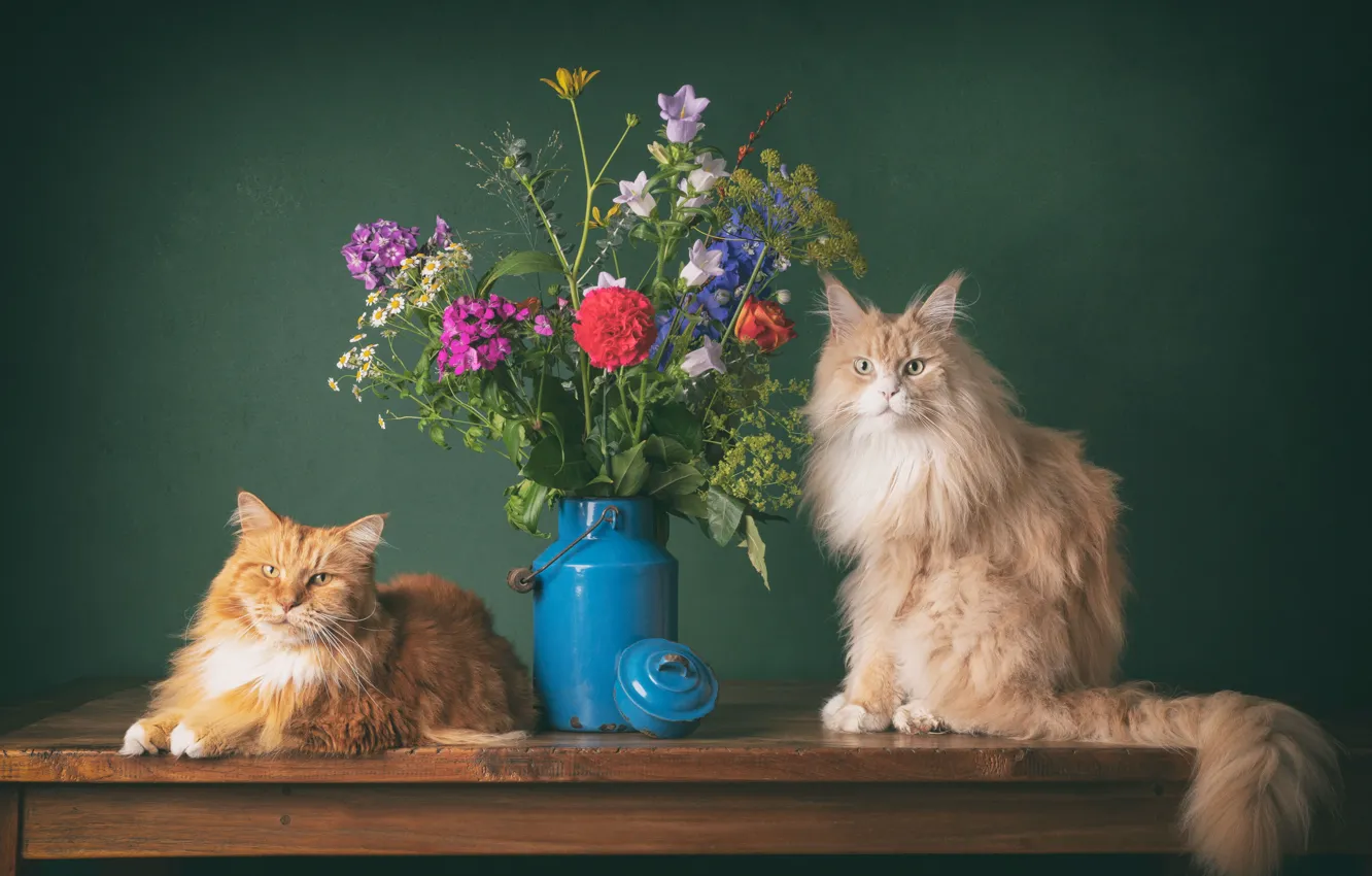 Photo wallpaper cat, cat, flowers, pair