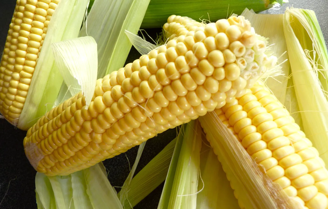 Photo wallpaper close-up, corn, cereals, the cob