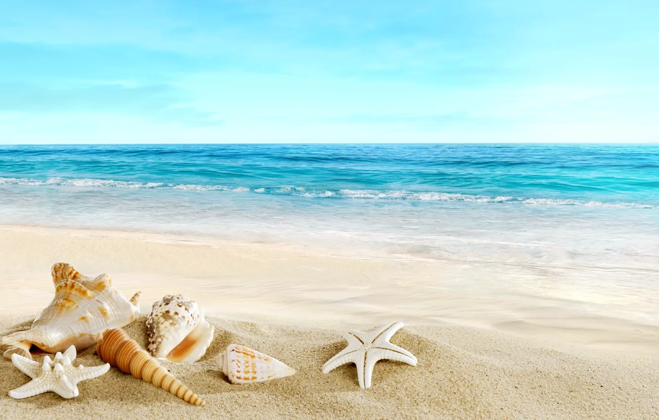 Photo wallpaper sand, sea, beach, shell, beach, sand, seashells