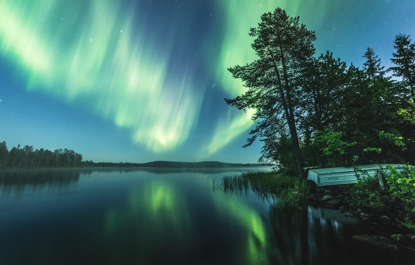 Photo wallpaper forest, trees, night, nature, lake, reflection, river, shore