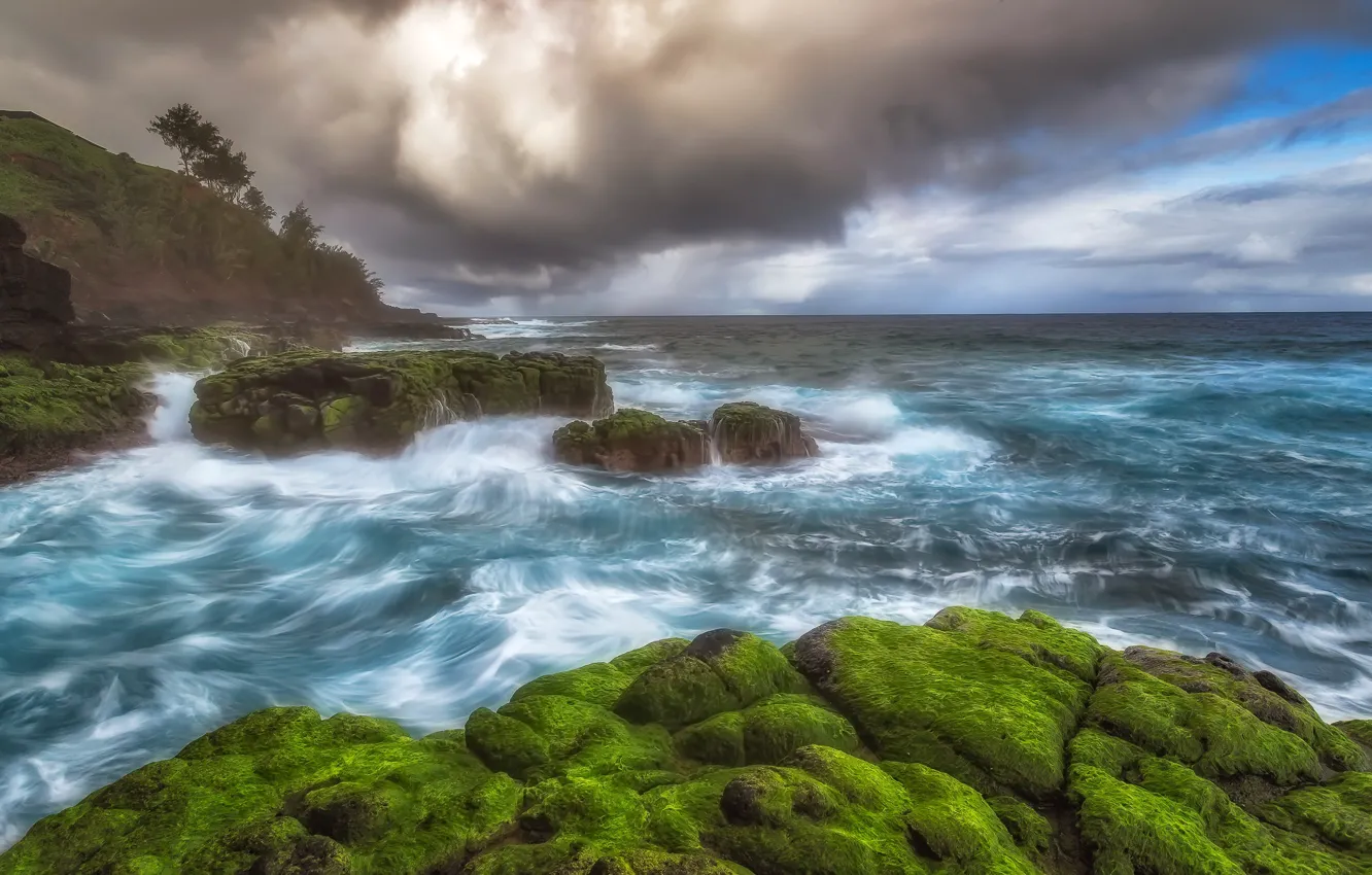 Photo wallpaper sea, rocks, Hawaii, USA