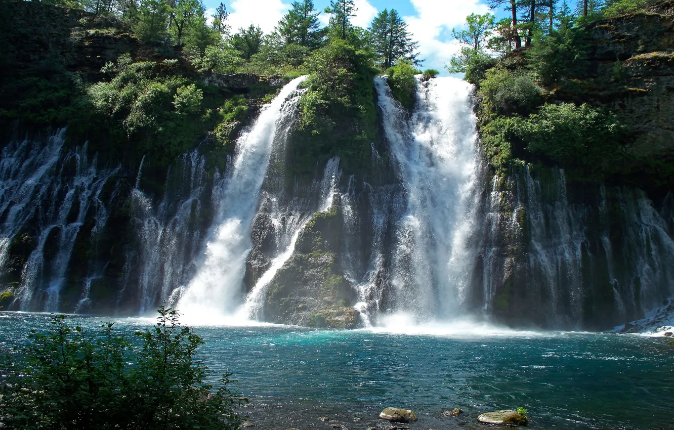 Photo wallpaper greens, forest, summer, clouds, light, trees, river, stones