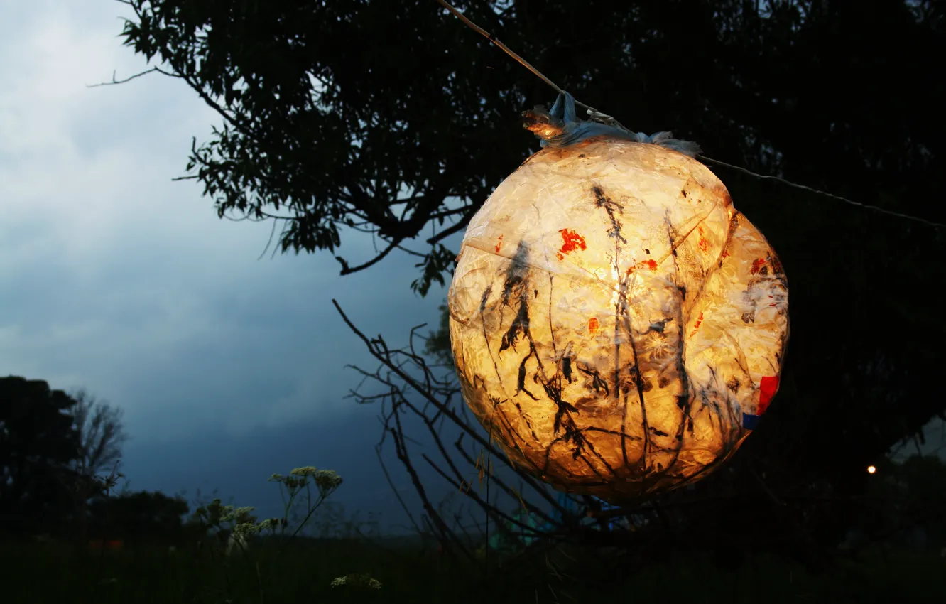 Photo wallpaper tree, lantern, empty hills, hand made