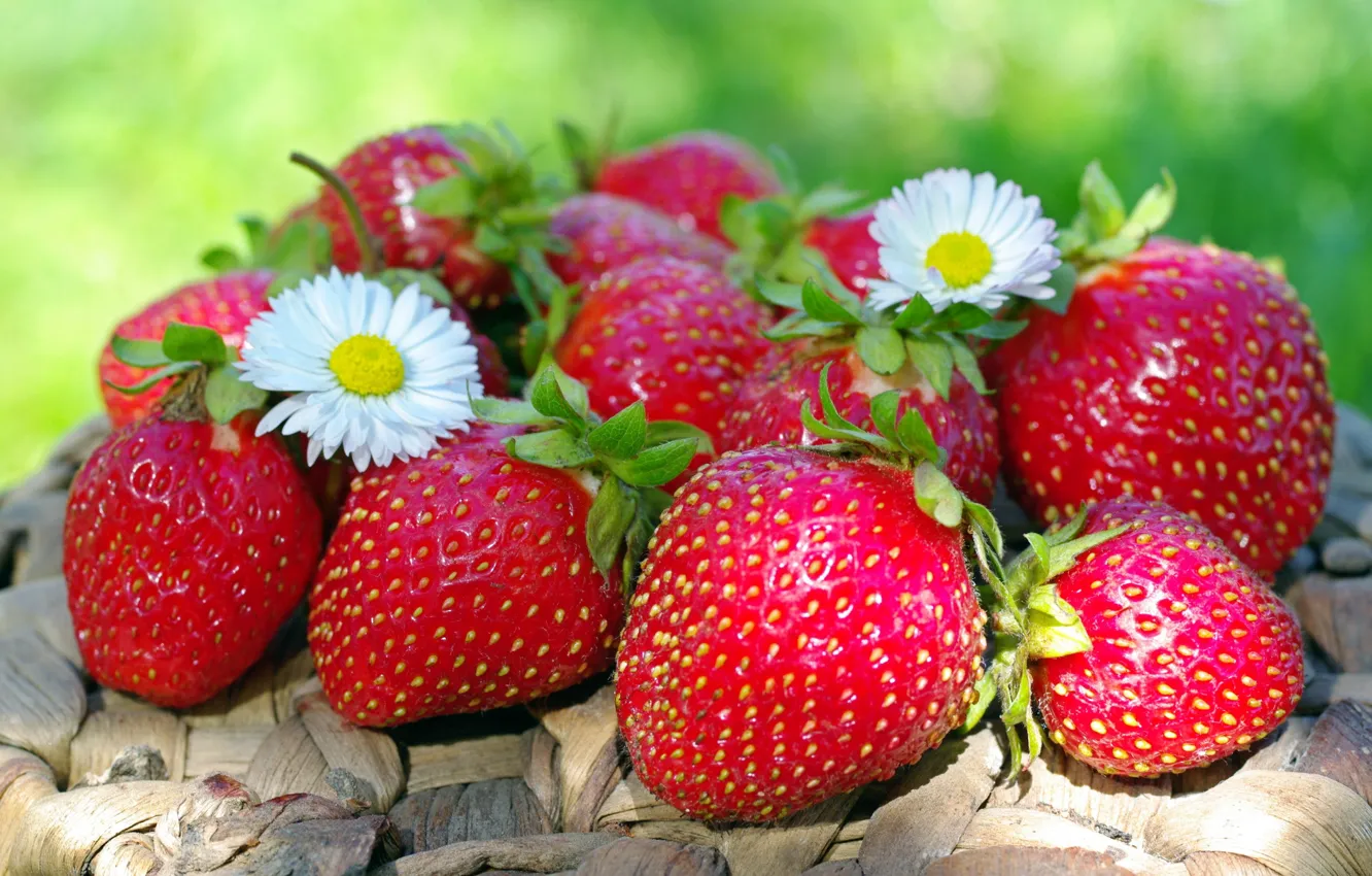 Photo wallpaper summer, berries, strawberry