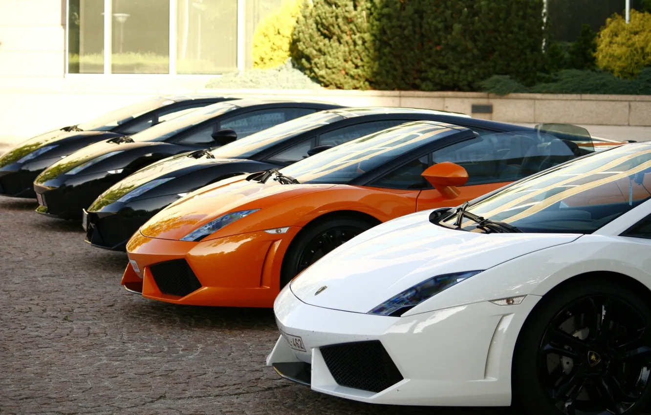 Photo wallpaper Lamborghini Gallardo, Lamborghini Cars, Three Lamborghini Wallpaper, Lamborghini Gallardo Wallpaper, Lambo Wallpaper