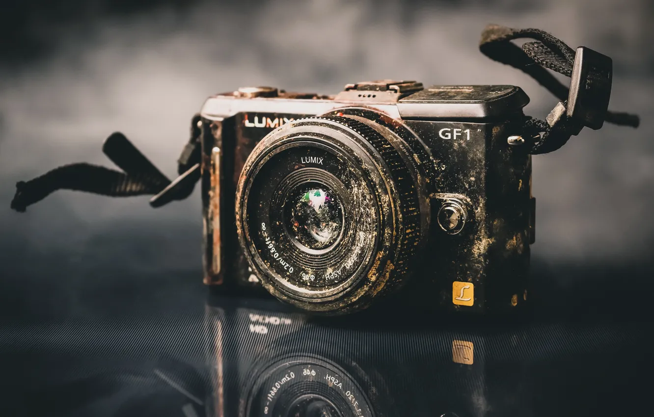 Photo wallpaper macro, background, camera