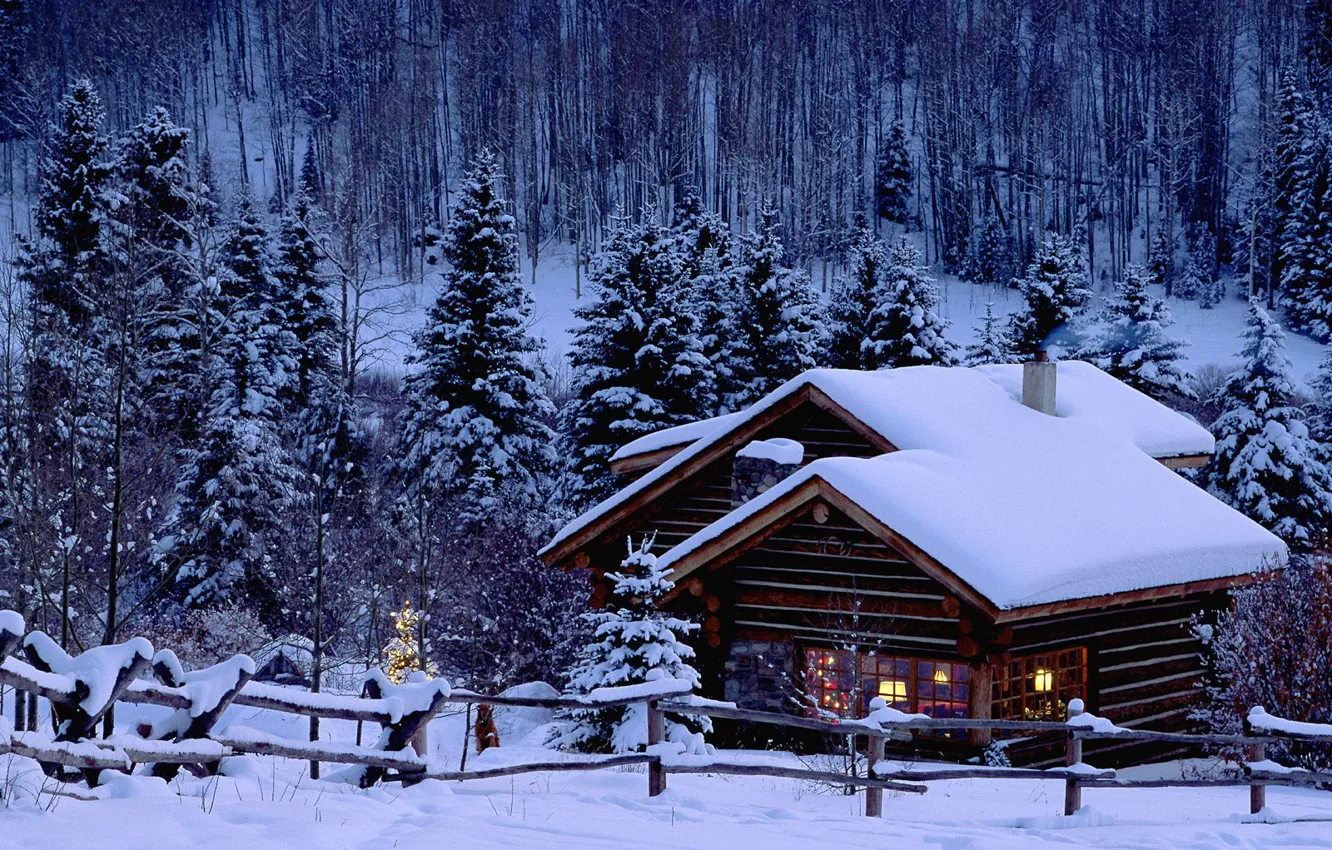 Photo wallpaper winter, snow, house, tree, new year