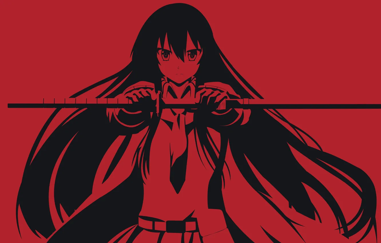 Photo wallpaper background, people, sword, anime, akame