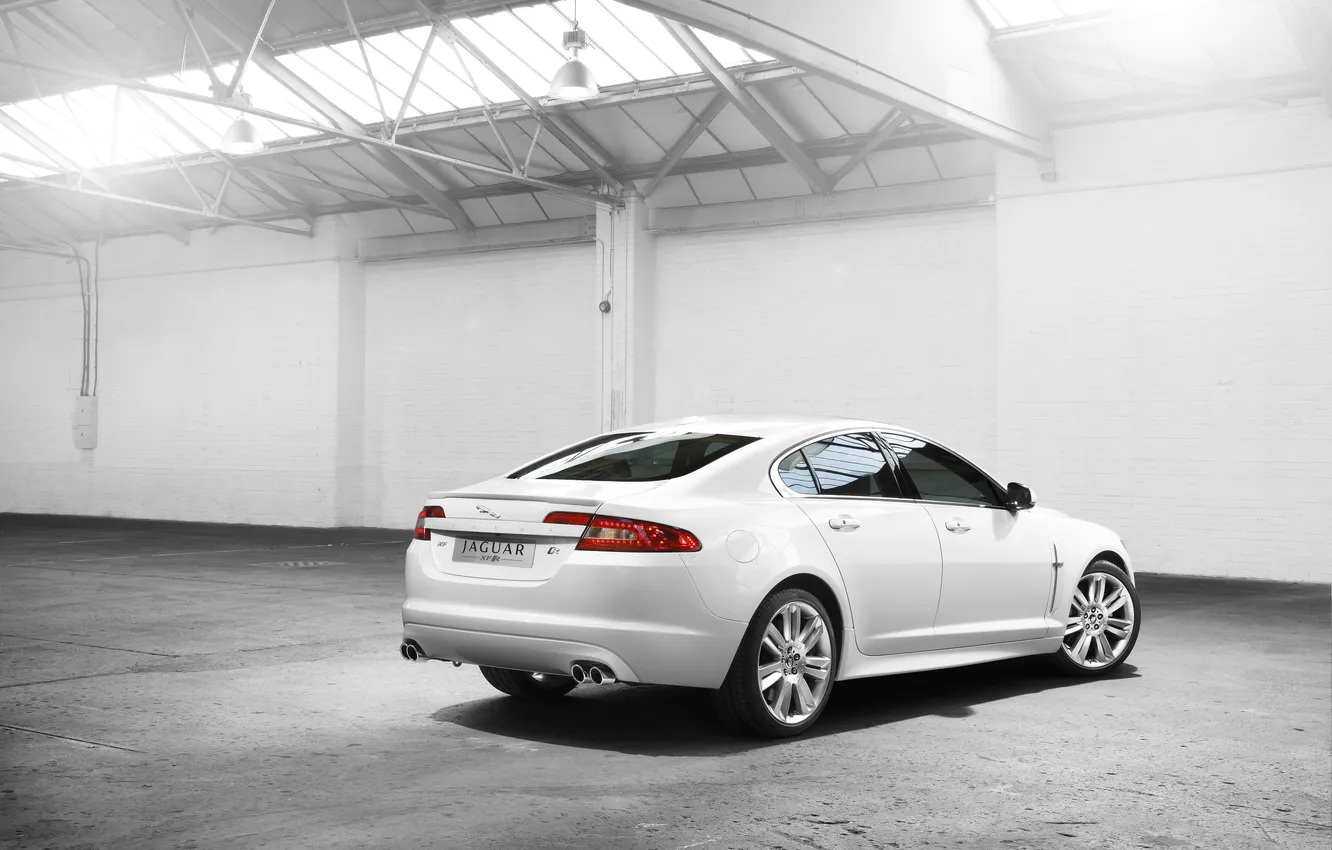 Photo wallpaper Jaguar, white
