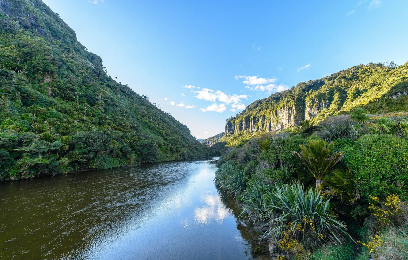 Photo wallpaper river, rocks, vegetation, New Zealand, Punakaiki, Punakaiki
