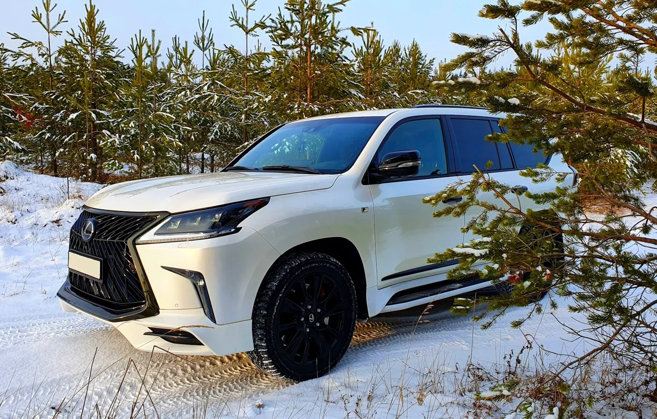 Photo wallpaper forest, tuning, kit, Lexus LX570, Lexus LX 570