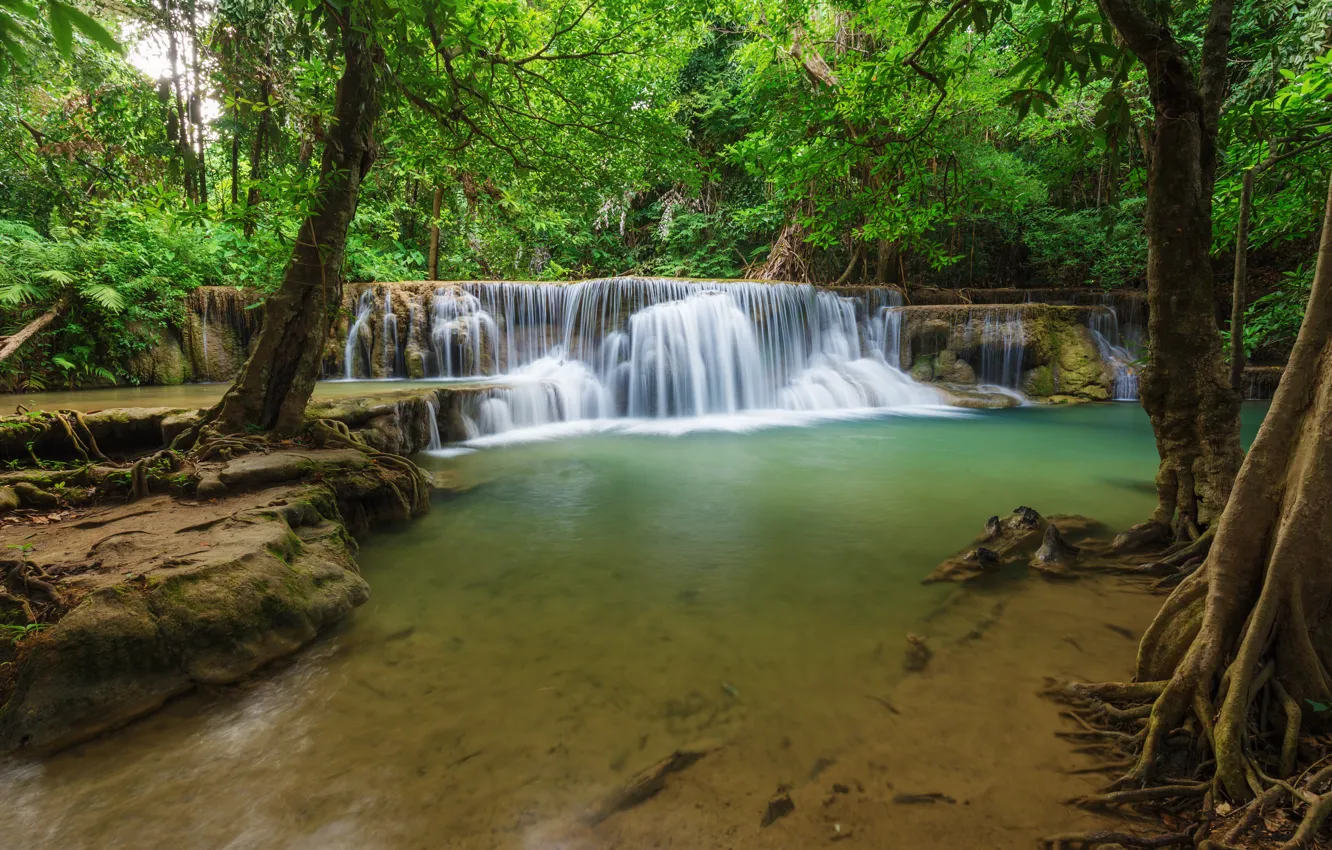 Photo wallpaper forest, landscape, river, rocks, waterfall, summer, forest, tropical