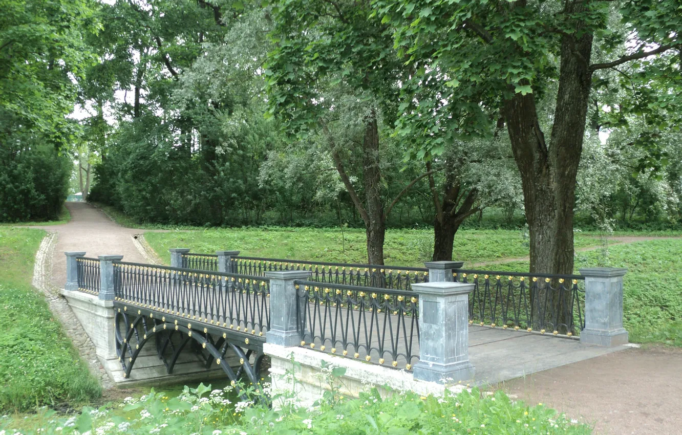 Photo wallpaper summer, trees, Park, track, maple, the bridge