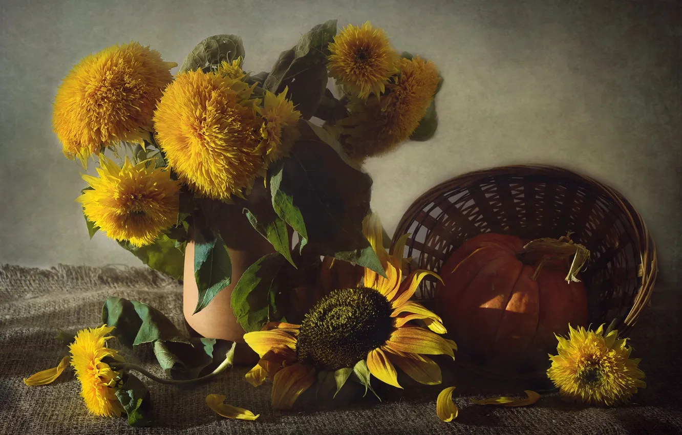 Photo wallpaper sunflowers, yellow, texture, pumpkin