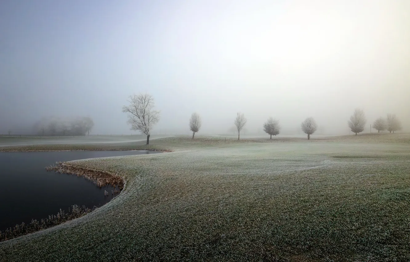 Photo wallpaper field, nature, fog